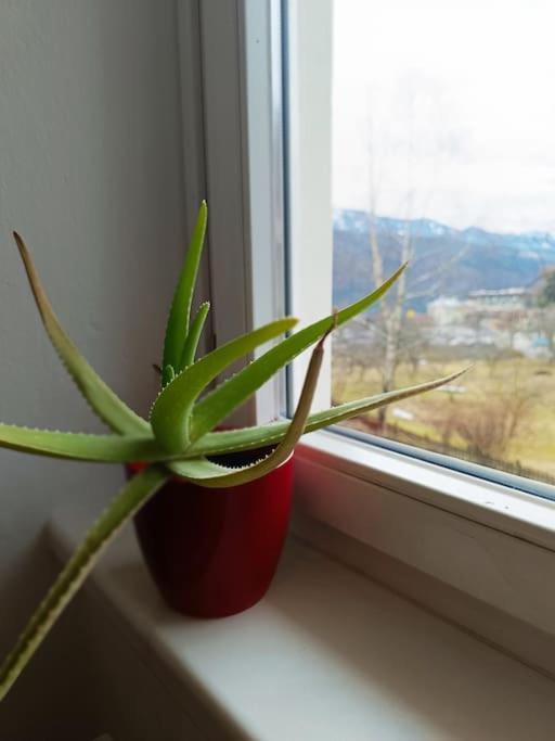 Ferienwohnung Berg & See ミルシュタット エクステリア 写真
